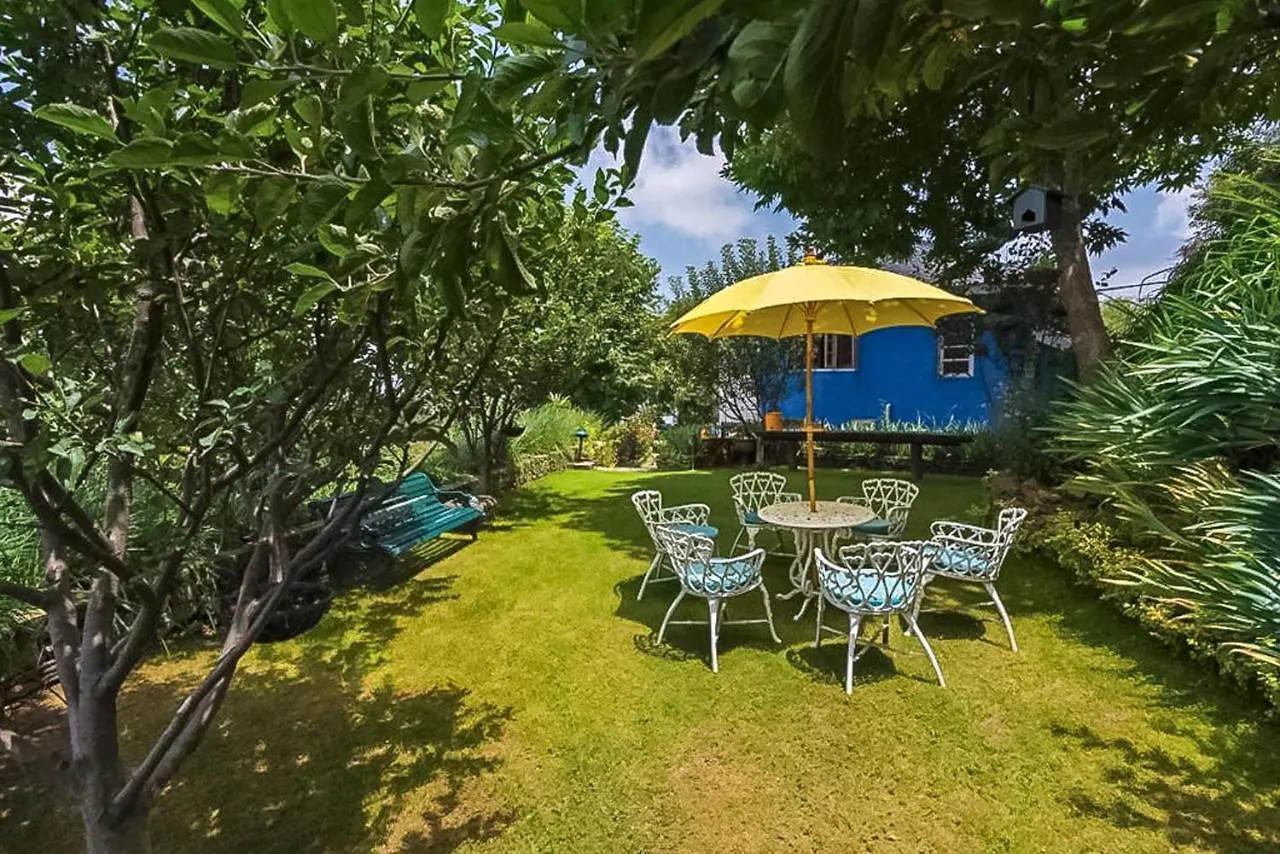 Stayvista At Violet Hill With Bonfire, Gazebo & Hill View Shimla Villa