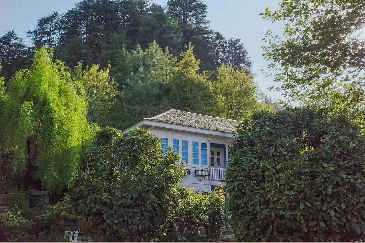 Stayvista At Violet Hill With Bonfire, Gazebo & Hill View Shimla Villa